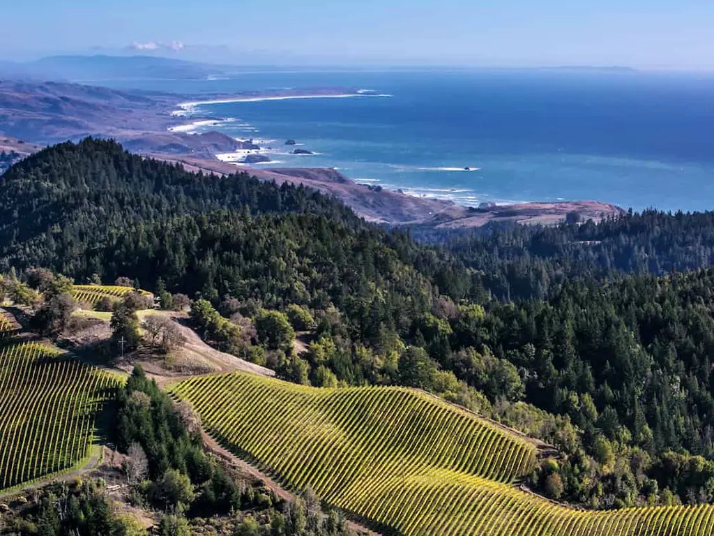 sonoma coast panel about vineyards