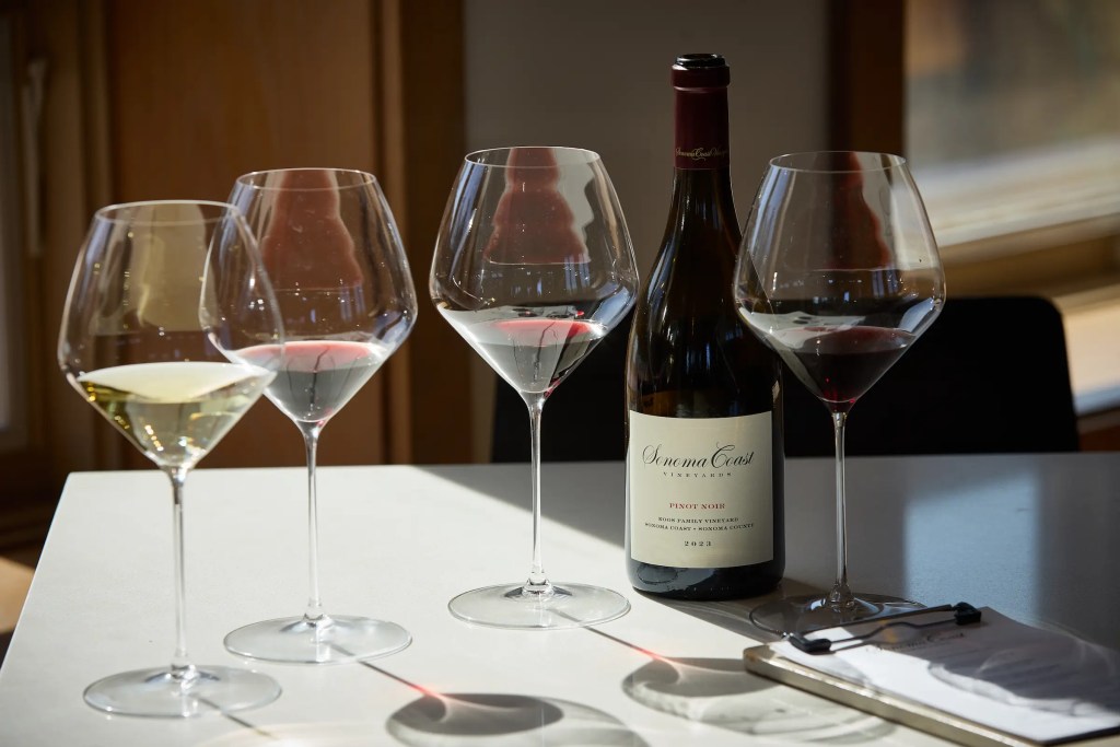 explore our wines