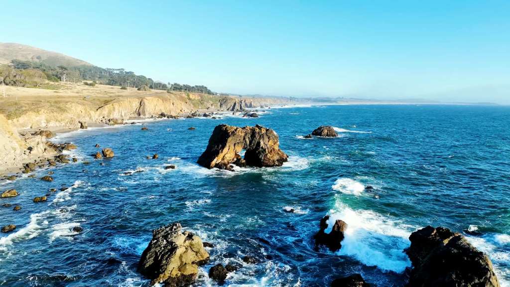 scv ocean 1